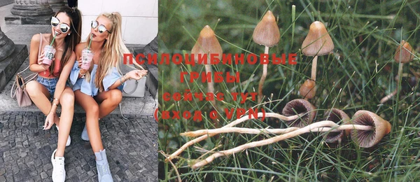 дживик Приозерск