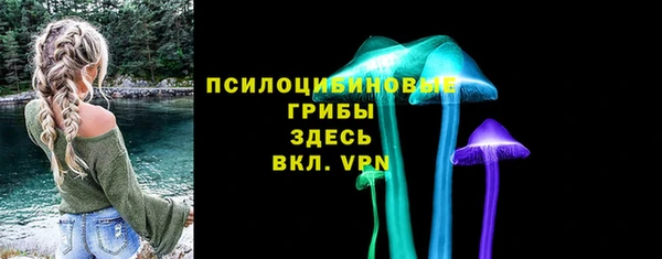 гашик Протвино