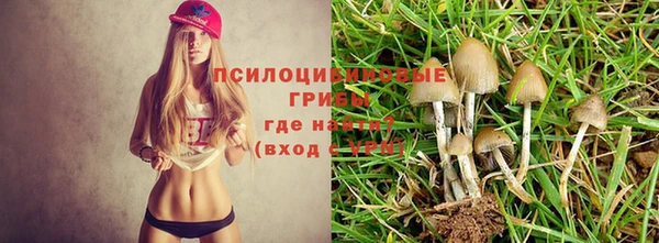 дживик Приозерск