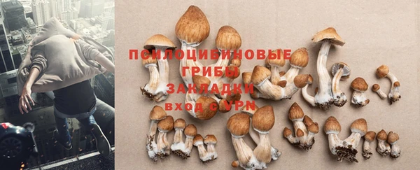 дживик Приозерск