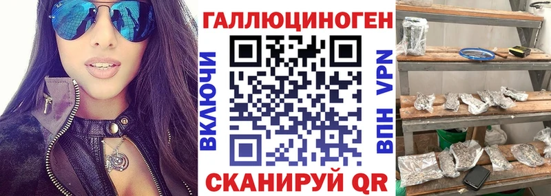 дарнет шоп  Спасск  Галлюциногенные грибы Psilocybe 